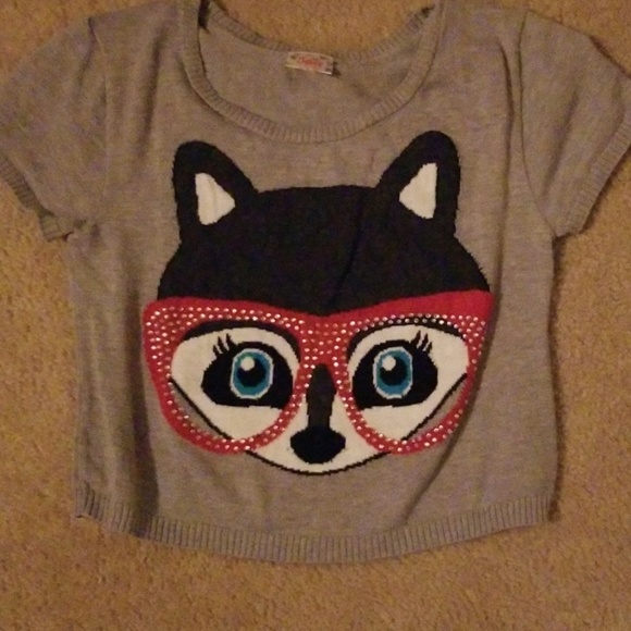Fox short sleeve sweater - Picture 1 of 1